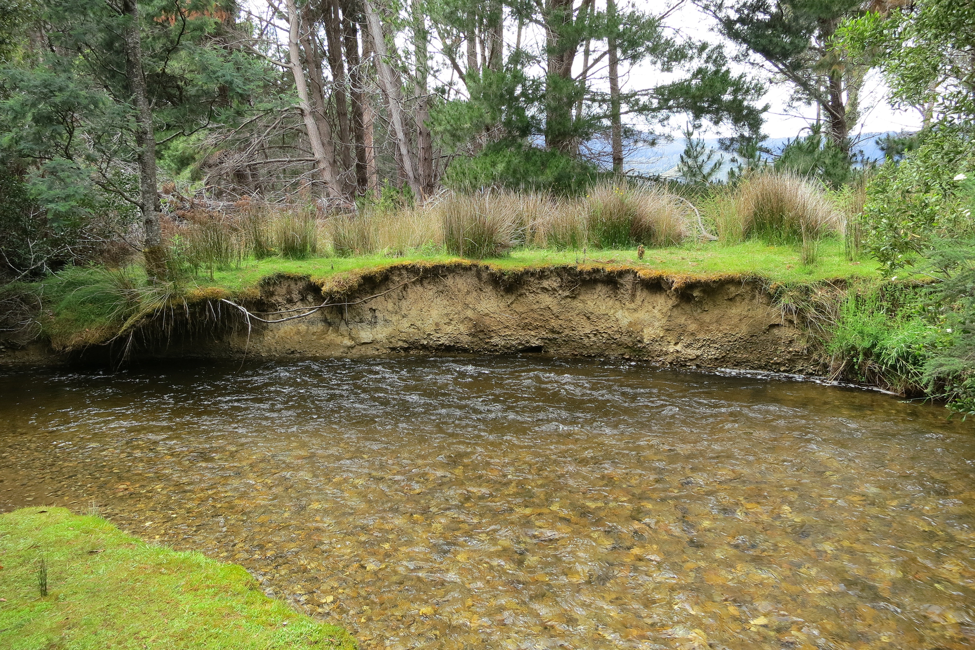 Galeria zdjęć prezentujących efekty erozji. Fotografia prezentuje zakole rzeki, powstałe na skutek podmywania brzegów przez wodę.