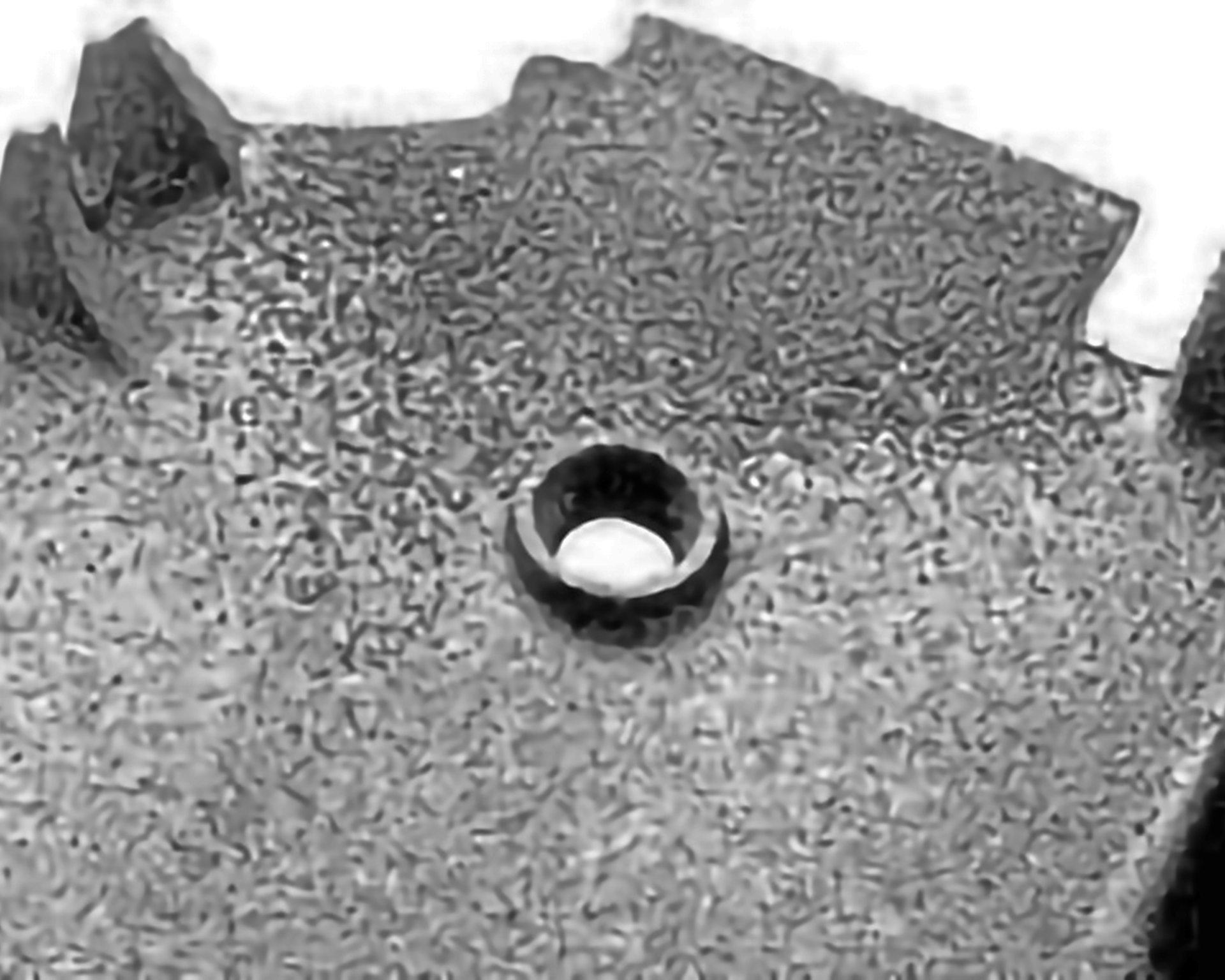 Zdjęcie przedstawia przybliżony, płaski model z wystającymi elementami i otworem na środku. Ma on przypalenie, czyli warstwę spieczonej masy formierskiej.