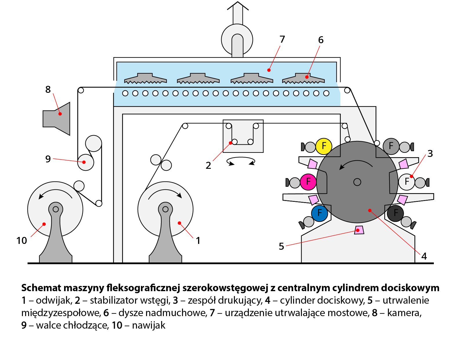 Grafika przedstawia schemat maszyny fleksograficznej szerokowstęgowej z centralnym cylindrem dociskowym. Od prawej widoczne jest duże szare koło  z dookolnie umiejscowionymi wypustkami z kółkami w różnym kolorze z wpisanymi w nie literami – jest to cylinder dociskowy z zespołem drukującym i zespołami farbowymi. Poniżej znajduje się różowy trapez – utrwalanie międzyzespołowe. Na lewo widoczne jest jasnoszare koło na rozszerzającej się stopce – odwijak, a na lewo od niego widoczny jest analogiczny element – nawijak. Powyżej widoczne są  poszczególne elementy maszyny – walce chłodzące powyżej nawijaka, kamera powyżej walców chłodzących. Prostokątny element pomiędzy cylindrem dociskowym a odwijakiem – stabilizator wstęgi, zaś u góry niebieski prostokąt z wpisanymi w niego 4 trapezoidalnymi figurami – dysze nadmuchowe i urządzenie utrwalające mostowe.