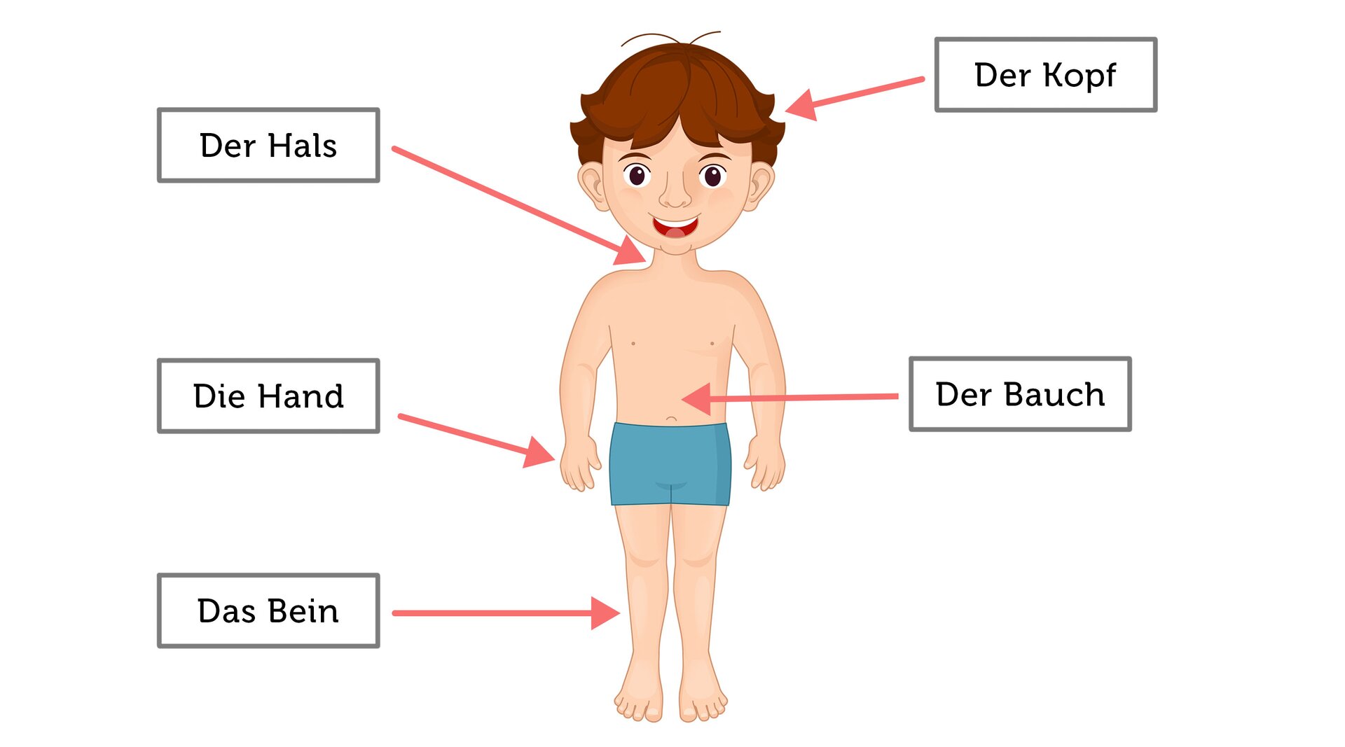Ilustracja przedstawia chłopca z podpisanymi częściami ciała. Der Hals, der kopf, die hand, der nauch, das bein 