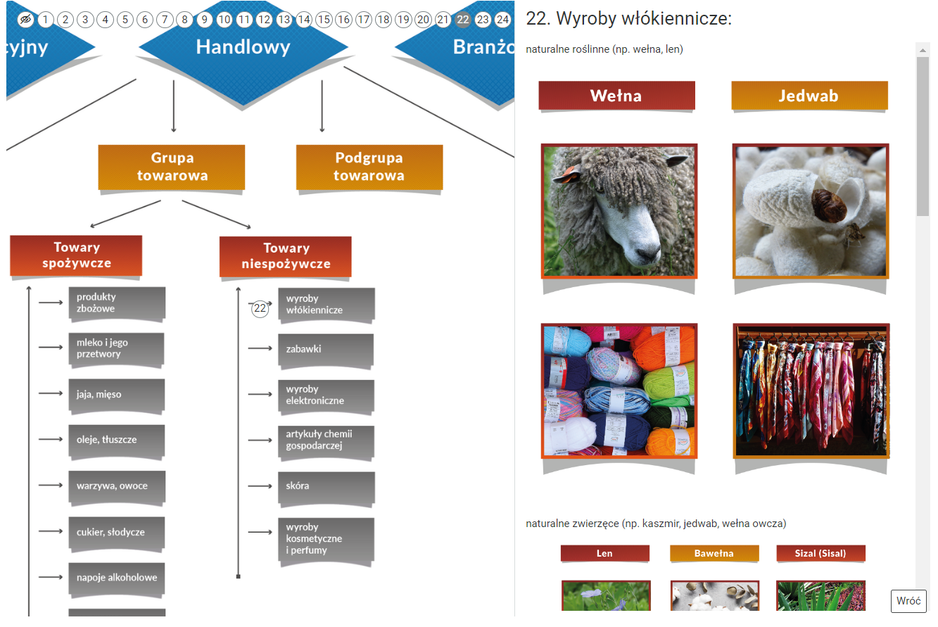 Grafika przedstawia fragment grafiki interaktywnej z otwartym dodatkowym oknem. W tle widoczna jest grafika główna grafiki interaktywnej. Po prawej stronie ekranu widoczne jest pole z opisem danego znacznika.