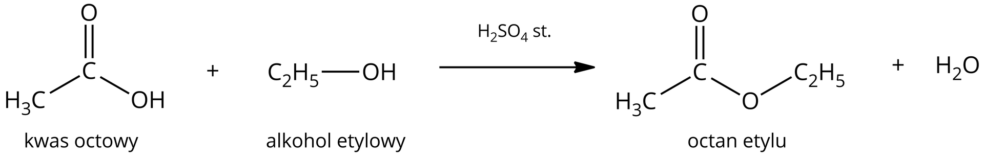 Ilustracja przedstawia równanie reakcji estryfikacji. Cząsteczka kwasu octowego zbudowana z grupy metylowej CH3 związanej z atomem węgla połączonym za pomocą wiązania podwójnego z atomem tlenu oraz za pomocą wiązania pojedynczego z grupą hydroksylową OH. Dodać cząsteczka etanolu zbudowana z grupy C2H5 połączonej z grupą hydroksylową OH. Strzałka w prawo, nad strzałką stężony kwas siarkowy, za strzałką cząsteczka octanu etylu zbudowanego z grupy CH3 połączonej z atomem węgla, który to związany jest za pomocą wiązania podwójnego z atomem tlenu oraz za pomocą wiązania pojedynczego z drugim atomem tlenu podstawionym grupą C2H5. Dodać cząsteczka wody. 