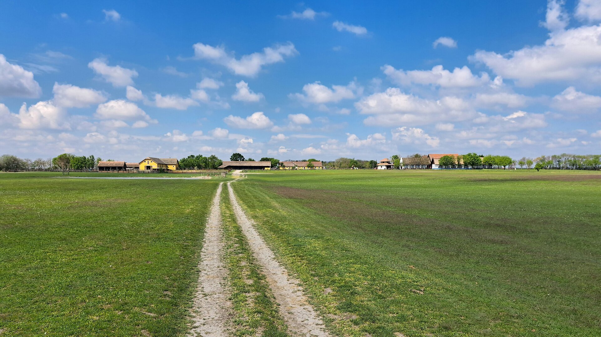 Na zdjęciu płaski teren, pola uprawne, nieutwardzona droga, w oddali zabudowania mieszkalne i gospodarskie.