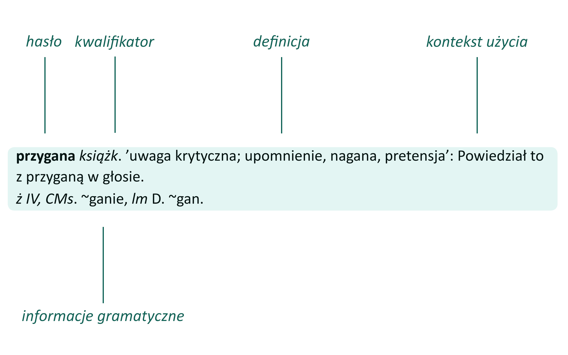 Ilustracja przedstawia budowę artykułu hasłowego w słowniku. Na jasnoniebieskim polu zapisano tekst, poszczególne elementy zaznaczone podpisane są wyżej, poza polem, tu w nawiasach: przygana (hasło) książk. (kwalifikator) 'uwaga krytyczna; upomnienie, nagana, pretensja'(definicja): Powiedział to z przyganą w głosie. (kontekst użycia) ż IV, CMs. ~ganie, lm D. ~gan. (informacje gramatyczne)