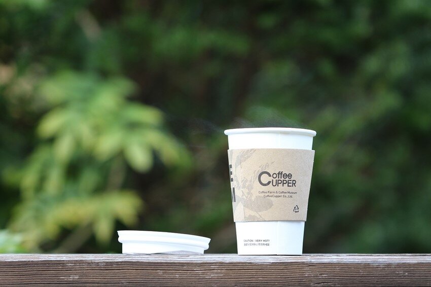 Zdjęcie przedstawia kubek papierowy.