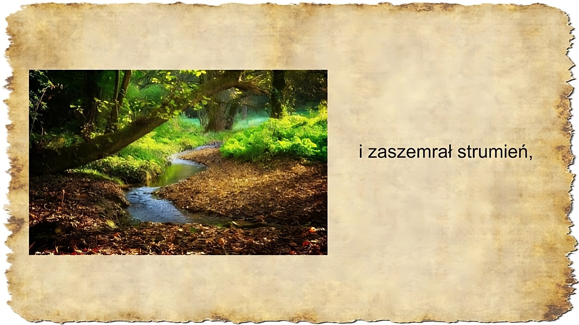 Po prawej stronie slajdu zamieszczony jest tekst: i zaszemrał strumień, Po lewej stronie slajdu umieszczona jest kolorowa fotografia przedstawiająca strumyk płynący przez las. Na pierwszym planie znajduje się konar drzewa, z którego wyrastają zielone gałązki. Konar zwisa nad strumieniem znajdującym się pośrodku fotografii. Na drugim planie widoczne są pnie innych drzew. Po obu stronach strumyka leżą jesienne liście, a także są widoczne zielone kępki traw i krzewów porastające las.