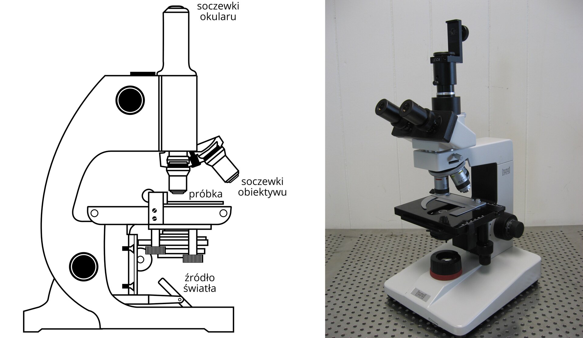 Mikroskop optyczny