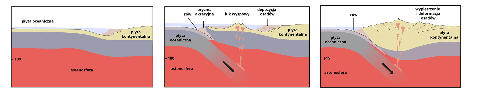 Na schemacie przedstawiono kolejne etapy kolizji płyty oceanicznej i kontynentalnej i powstawania górotworu. Na schemacie przedstawiono trzy ilustracje, trzy etapy. Pierwsza ilustracja. Poziomo pod oceanem przebiega płyta oceaniczna, po prawej stronie jest płyta kontynentalna. Pod płytą oceaniczną jest astenosfera, na głębokości poniżej 100 kilometrów. Na kolejnej ilustracji jest płyta oceaniczna wchodząca pod płytę kontynentalną. W miejscu zagłębiania się płyty oceanicznej pod płytę kontynentalną jest rów, obok niego zaznaczono pryzmę akrecyjna. Następnie po prawej stronie od rowu jest wypiętrzony łuk wyspowy. Następnie zaznaczono pozycję osadów sięgającą aż po powierzchnię oceanu, po prawej stronie jest płyta kontynentalna. Na ostatniej ilustracji pokazano wypiętrzenie i deformację osadów. Stanowią wypukłość o licznych wierzchołkach. Sięgają ponad powierzchnię oceanu. Zaznaczono również rów, płytę oceaniczną wchodzą pod płytę kontynentalną.