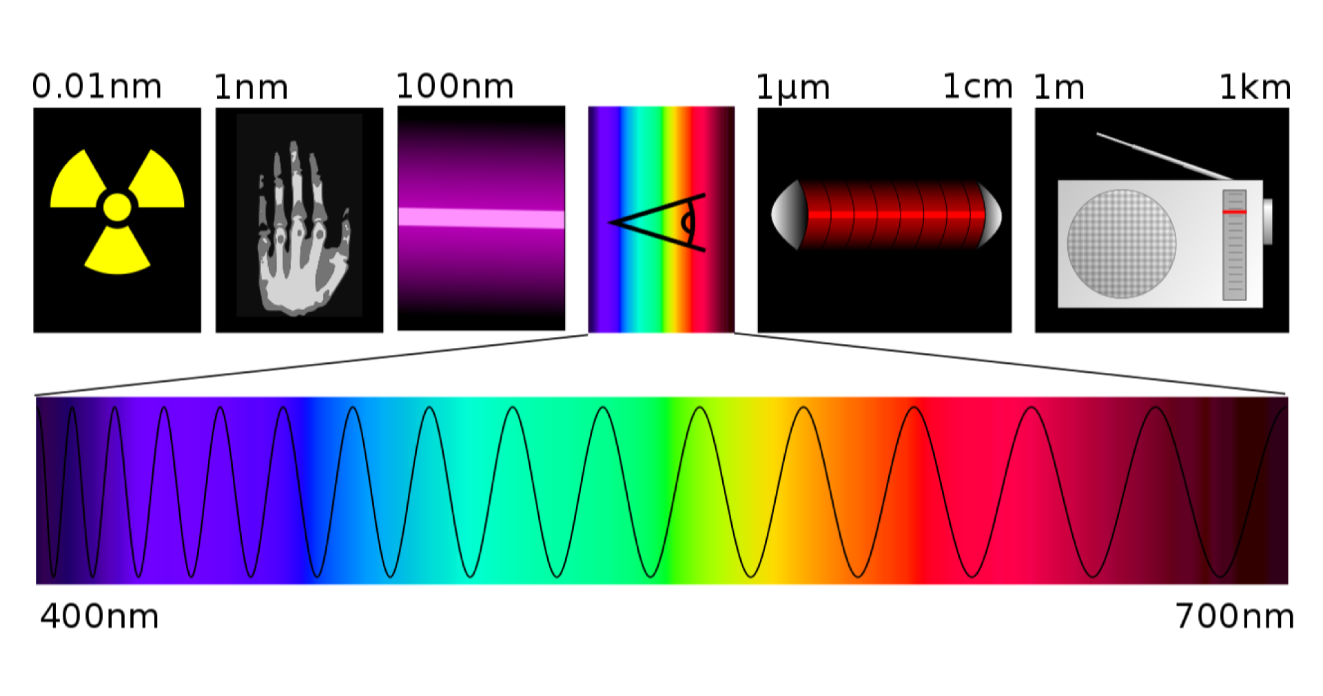 Na rysunku pokazane są za pomocą ikon różne rodzaje długości fal: od lewej promieniowanie gamma 0,01 nm, rentgenowskie 1 nm, ultrafioletowe 100 nm, widzialne, podczerwone 1 mikrometr do 1 cm, radiowe 1 m do 1 km. Poniżej znajduje się pasek z widmem światła widzialnego od 400 nm do 700 nm, a na nim zaznaczona jest sinusoidalna krzywa, która ma większą długość w obszarze światła czerwonego, a mniejszą w obszarze światła niebieskiego.