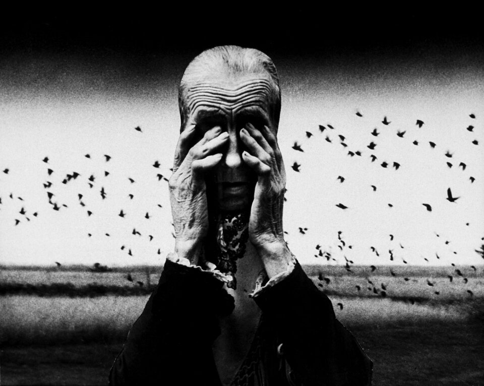 Fotografia jest fotomontażem portretu starej kobiety i pola z lecącym stadem ptaków. Twarz kobiety poorana zmarszczkami na czole jest na pierwszym planie, powiększone ręce sięgają dłońmi twarzy, zakrywając oczy.