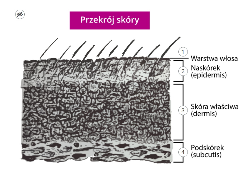 Widok ogólny grafiki interaktywnej