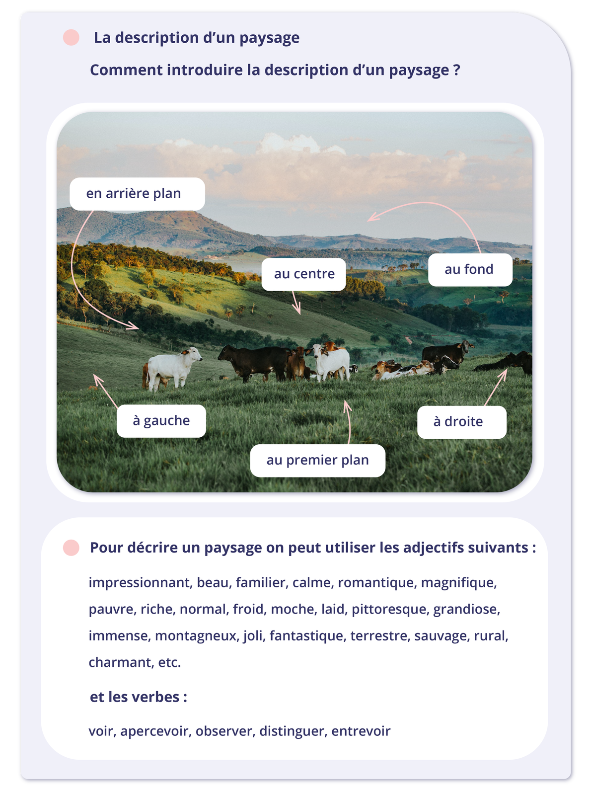 Ilustracja zatytułowana La description d'un paysageComment introduire la description d'un paysage? składa się z dwóch części. W pierwszej części znajduje się zdjęcie pastwiska  z krowami w górskim krajobrazie. Zaznaczono a nim kilka elementów: en arrière plan - drzewa na zboczu wzgórza; au centre - centralny punkt zdjęcia; au fond - wzgórza w tle; à gauche - polana z lewej strony zdjęcia; au premier plan - krowy na pierwszym planie; à droite - krowy leżące na na skrajnym prawym brzegu zdjęcia.  W drugiej części znajduje się tekst. Pour décrire un paysage on peut utiliser les adjectifs suivants :impressionnant, beau, familier, calme, romantique, magnifique, pauvre, riche, normal, froid, moche, laid, pittoresque, grandiose, immense, montagneux, joli, fantastique, terrestre, sauvage, rural, charmant, etc.et les verbes :voir, apercevoir, observer, distinguer, entrevoir