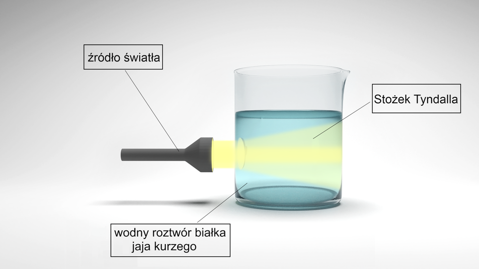 Na ilustracji przedstawiony został efekt Tyndalla. Na zlewkę z roztworem wodnym białka jaja kurzego skierowano od lewej strony wiązkę światła przy użyciu czarnej latarki. Światło uległo rozproszeniu tworząc charakterystyczny „stożek”, którego podstawa znajdowała się na prawej ściance zlewki.