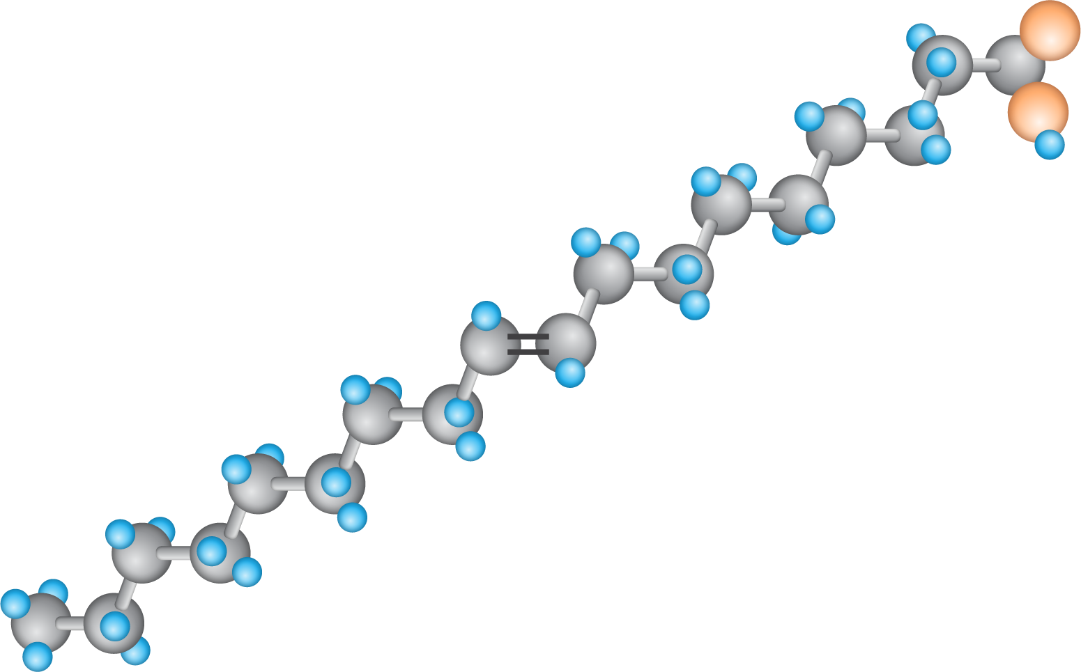 Ilustracja przedstawia model. Długi łańcuch, tworzący zygzak, zbudowany jest z szarych kulek połączonych z małymi niebieskimi kulkami. W środku łańcucha między szarymi kulkami jest wiązanie podwójne. Podstawniki przy tym wiązaniu są po przeciwnych stronach. Po prawej stronie łańcucha, na jego końcu, szara kulka łączy się z dwiema pomarańczowymi kulkami, a jedna z nich łączy się z małą niebieską kulką.  