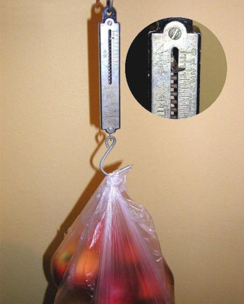 Grafika przedstawia torbę foliową z jabłkami wiszącą na wadze. Waga wskazuje ponad 1,5 kilograma i nie przekracza kreski 2 kilogramy.