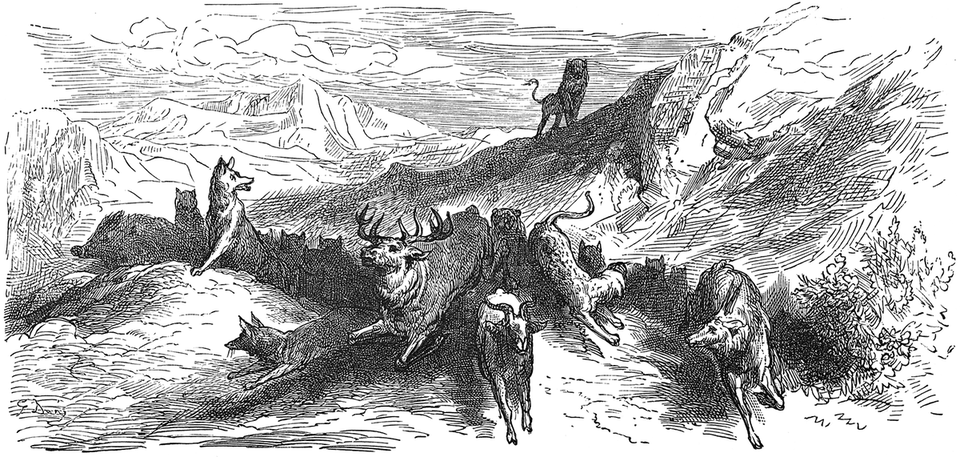 Grafika przedstawia zwierzęta. Lew stoi na wzniesieniu. Zwierzęta poniżej wzniesienia uciekają w różnych kierunkach. 