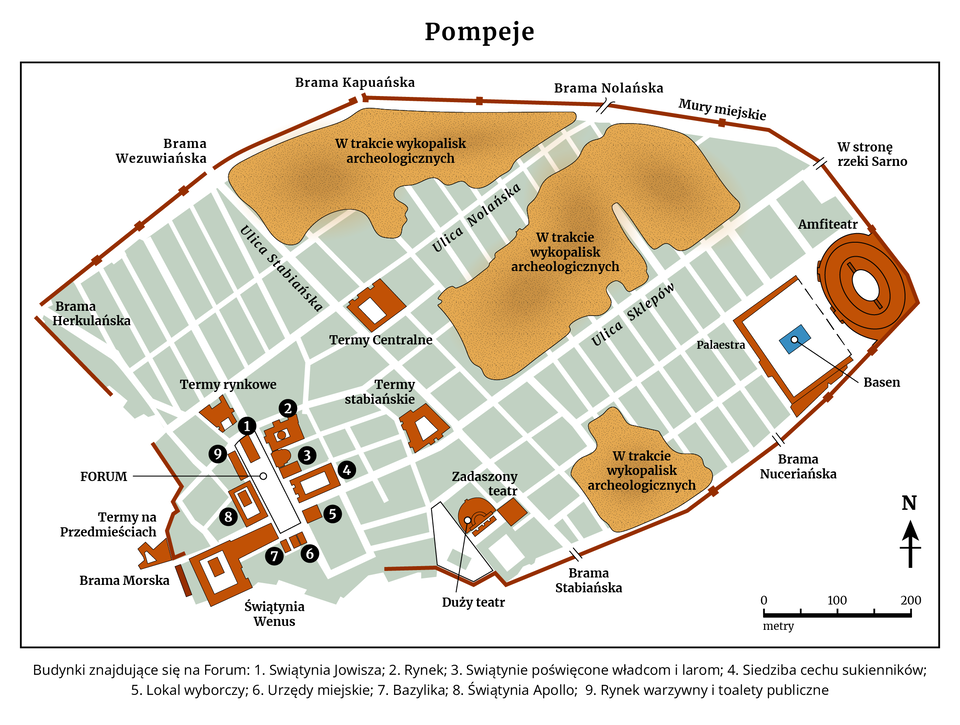 Grafika przedstawia plan miasta z tytułem „Pompeje” umieszczonym u góry pośrodku. Obszar miasta ma nieregularny kształt otoczony brązową linią oznaczoną jako „Mury miejskie”.
W górnej części planu zaznaczono „Bramę Kapuańską” (u góry po lewej), „Bramę Nolańską” (u góry po prawej od środka) oraz odcinek opisany jako „Mury miejskie”. Po prawej stronie znajduje się napis „W stronę rzeki Sarno”. W lewej górnej części widoczna jest „Brama Wezuwiańska”, a poniżej niej „Brama Herkulańska”. W dolnej lewej części zaznaczono „Bramę Morską”. W dolnej prawej części znajdują się „Brama Stabiańska” oraz „Brama Nuceriańska”.
Wewnątrz murów widoczna jest siatka ulic w jasnym kolorze. Podpisane ulice to „Ulica Stabiańska” po lewej stronie oraz „Ulica Nolańska” biegnąca ukośnie przez górną środkową część planu. Po prawej stronie widoczna jest „Ulica Sklepów”.
W centrum po lewej stronie znajduje się obszar oznaczony jako „FORUM”. W jego pobliżu zaznaczono „Termy rynkowe”, „Termy na Przedmieściach”, „Termy Centralne” oraz „Termy stabiańskie”. W dolnej lewej części widoczna jest „Świątynia Wenus”.
W dolnej środkowej części planu zaznaczono „Duży teatr” oraz obok niego „Zadaszony teatr”. Po prawej stronie planu znajduje się „Amfiteatr”, a obok niego „Palaestra” oraz „Basen”. W kilku miejscach wewnątrz miasta widnieje napis „W trakcie wykopalisk archeologicznych”, oznaczający obszary w kolorze ochrowym.
W prawym dolnym rogu znajduje się strzałka kierunkowa z literą „N” oraz podziałka z oznaczeniem „0 100 200 metry”. Na dole grafiki umieszczono legendę opisującą budynki znajdujące się na Forum: 1. Świątynia Jowisza; 2. Rynek; 3. Świątynie poświęcone władcom i larom; 4. Siedziba cechu sukienników; 5. Lokal wyborczy; 6. Urzędy miejskie; 7. Bazylika; 8. Świątynia Apolla; 9. Rynek warzywny i toalety publiczne.