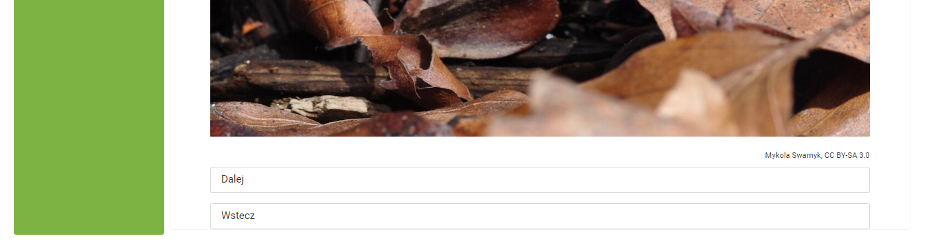 Grafika przedstawia przyciski służące do przełączania zdjęć w obrębie wybranego katalogu atlasu interaktywnego. Znajdują się one pod zdjęciem umieszczonym na środku ekranu atlasu. Oba przyciski mają kształt podłużnych, białych prostokątów z napisem w środku. Pierwszy przycisk zawiera napis: Dalej. Drugi przycisk zawiera napis: Powrót.