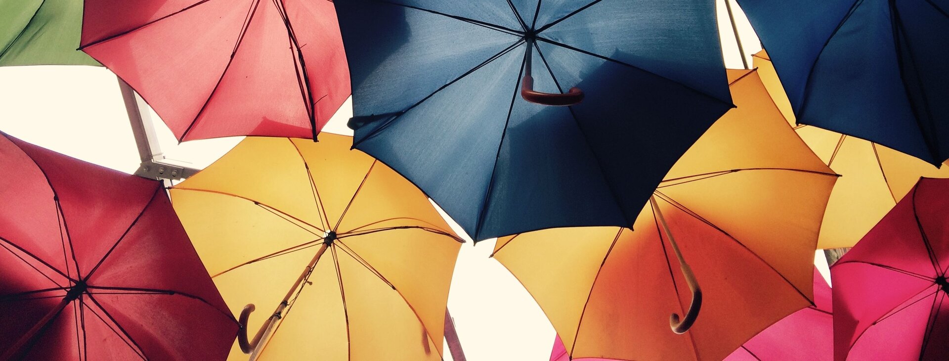 Na ilustracji znajduje się kilka różnokolorowych parasoli przeciwdeszczowych, rozłożonych, umieszczonych jeden przy drugim (częściowo zachodzą na siebie). Parasole są pokazane od dołu.
