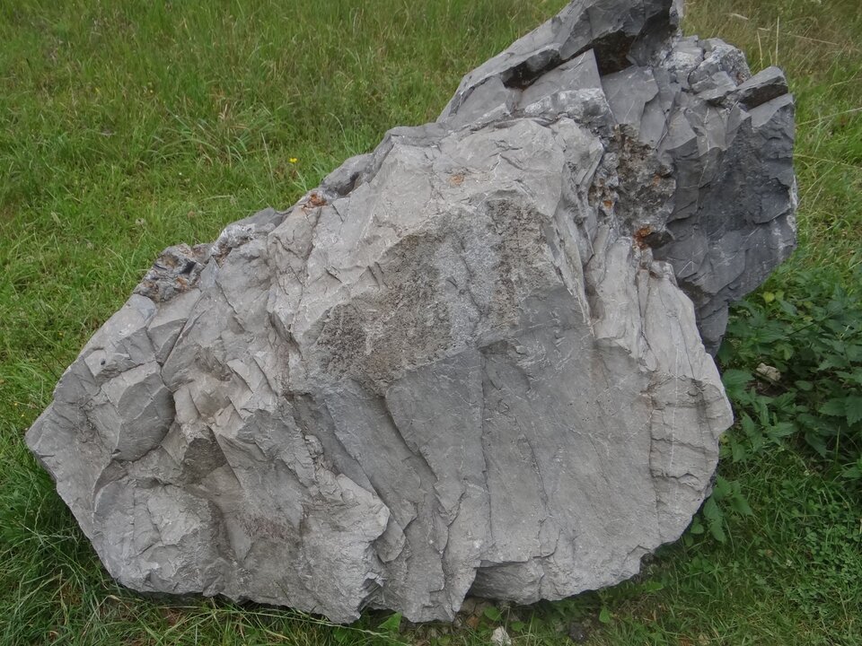 Zdjęcie przedstawia dolomit. Ma nieregularną powierzchnię o ostrych ścięciach. Posiada szarą barwę.