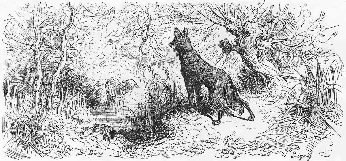 Grafika przedstawia wilka stojącego tyłem do obserwatora. WIlk patrzy na owcę przy wodopoju.