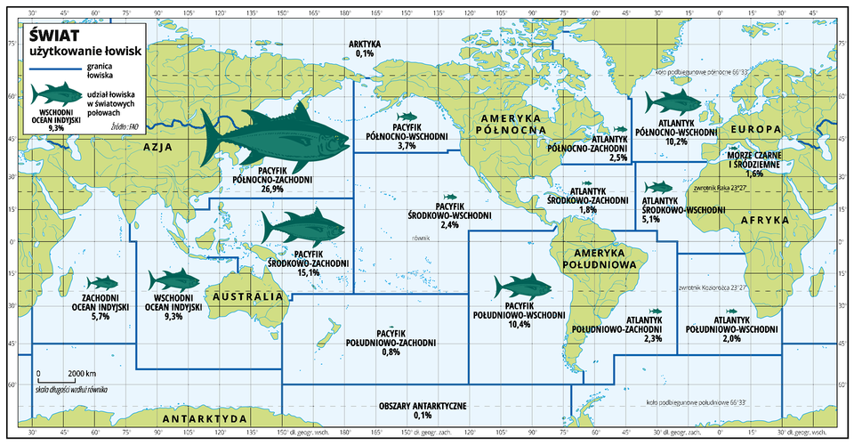 Na mapie świata zaznaczono granice łowisk oraz udział łowiska w światowych połowach. Arktyka 0,1%, Pacyfik Północno‑Zachodni 26,9%, Pacyfik Środkowo‑Zachodni 15,1%, Wschodni Ocean Indyjski 9,3%, Zachodni Ocean Indyjski 5,7%, Pacyfik Północno‑Wschodni 3,7%, Pacyfik Środkowo‑Wschodni 2,4%, Pacyfik Południowo‑Zachodni 0,8%, Pacyfik Południowo‑Wschodni 10,4%, Atlantyk Północno‑Zachodni 2,5%, Atlantyk Środkowo‑Zachodni 1,8%, Atlantyk Południowo‑Zachodni 2,3%, Atlantyk Północno‑Wschodni 10,2%, Atlantyk Środkowo‑Wschodni 5,1%, Atlantyk Południowo‑Wschodni 2%, Morze Czarne i Śródziemne 1,6%, obszary antarktyczne 0,1%.  