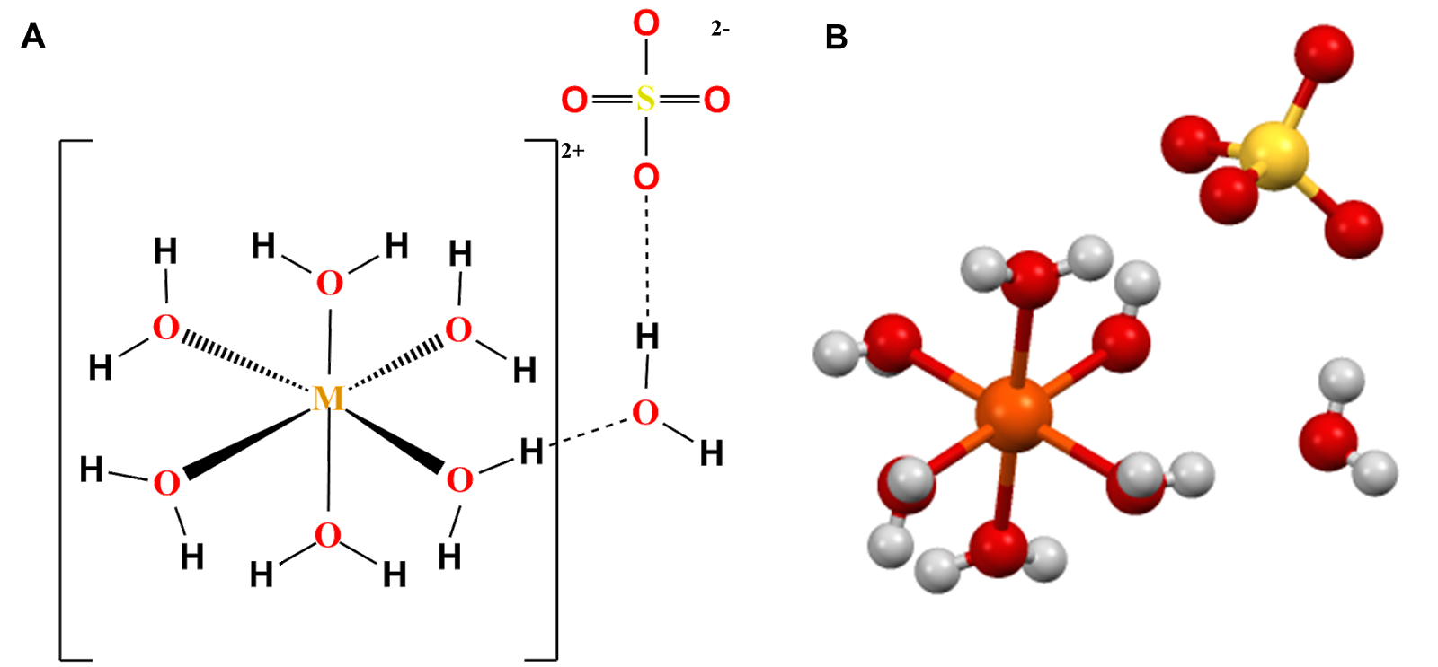 Ilustracja przedstawia wzór strukturalny witrioli oraz ich model pręcikowo‑kulkowy. Wzór strukturalny: w nawiasie kwadratowym jest część wzoru – symbol M łączy się wiązaniami pojedynczymi z sześcioma cząsteczkami wody. Za nawiasem kwadratowym w indeksie górnym jest 2+. Jedna z cząsteczek wody łączy się poza nawiasem kwadratowym z kolejną cząsteczką wody. Ta łączy się z atomem tlenu będącym częścią następującego dianionu: atom siarki łączy się z czterema atomami tlenu.  Obok jest model pręcikowo‑kulkowy – jedna z cząsteczek ma następującą budowę: pomarańczowa kulka, oznaczająca atom metalu, położona w centrum modelu, łączy się z sześcioma czerwonymi kulkami, oznaczającymi atomy tlenu, a każda z czerwonych kulek z dwiema białymi kulkami, oznaczającymi atomy wodoru. Obok cząsteczki jest model zbudowany z jednej czerwonej kulki i dwóch białych oraz kolejny model zbudowany z jednej żółtej kulki, symbolizującej atom siarki, połączonej z czterema czerwonymi kulkami.