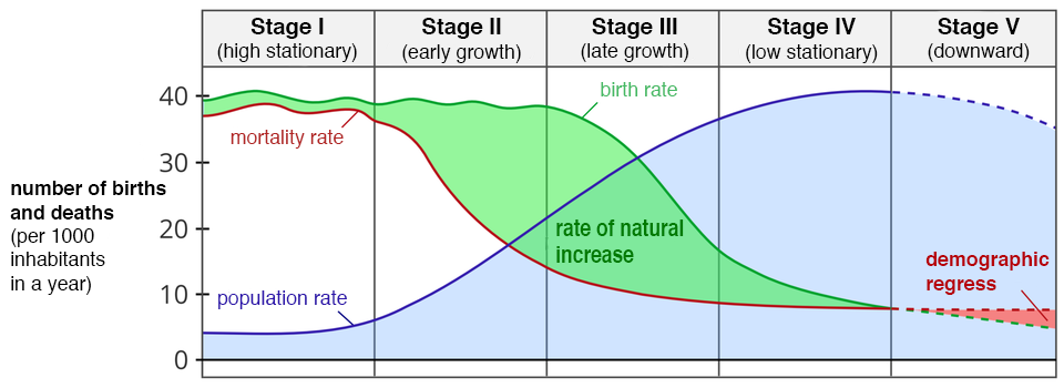 Na ilustracji wykres Demographic transition model. Na osi pionowej z lewej strony wartości od zera do czterdziestu podpisane jako liczba urodzeń i zgonów na tysiąc mieszkańców w ciągu roku numer of births and deaths per 1000 inhabitants in a year. Na osi poziomej wykres podzielony na pięć równych pasów. Na górze podpisane pięć faz. Wykres przedstawia zmiany współczynnika urodzeń i zgonów. Faza I – charakterystyczna dla społeczeństw preindustrialnych, pozbawionych dostępu do współczesnej medycyny i zmagających się z częstymi, krwawymi konfliktami. Obecnie występuje tylko w nielicznych populacjach. Liczby urodzeń i zgonów są wysokie i niestabilne; współczynnik dzietności przekracza 6. Przeciętna długość życia nie przekracza 45 lat. Liczba urodzeń na tysiąc sięga ok. 40, liczba zgonów jest tylko nieznacznie, mniejsza. Faza II – charakteryzująca wczesne społeczeństwa industrialne. Dostęp do medycyny i technologii produkcji żywności zmniejsza poziom zgonów, ale poziom urodzeń utrzymuje się na wysokim poziomie ok. 40, skutkując wysokim przyrostem naturalnym i eksplozją demograficzną. Średnia długość życia wynosi 60 lat, większość społeczeństwa jest młoda. Faza III – tzw. przejście demograficzne – okres przejściowy, typowy dla współczesnych krajów rozwijających się. Wiąże się ze stopniowym spadkiem poziomu urodzeń do ok. 17 i przyrostu naturalnego, oraz wzrostem średniej długości życia. Przekrój społeczeństwa zmienia się, większy jest udział osób starszych. Okresowi temu towarzyszą zmiany kulturowe: coraz większą rolę odgrywa edukacja i kariera, a moment założenia rodziny jest odsuwany. Faza IV – charakterystyczna dla krajów rozwiniętych i społeczeństw postindustrialnych. Zarówno urodzenia, zgony, jak i przyrost naturalny stabilizują się na niskim poziomie ok. kilku na tysiąc.