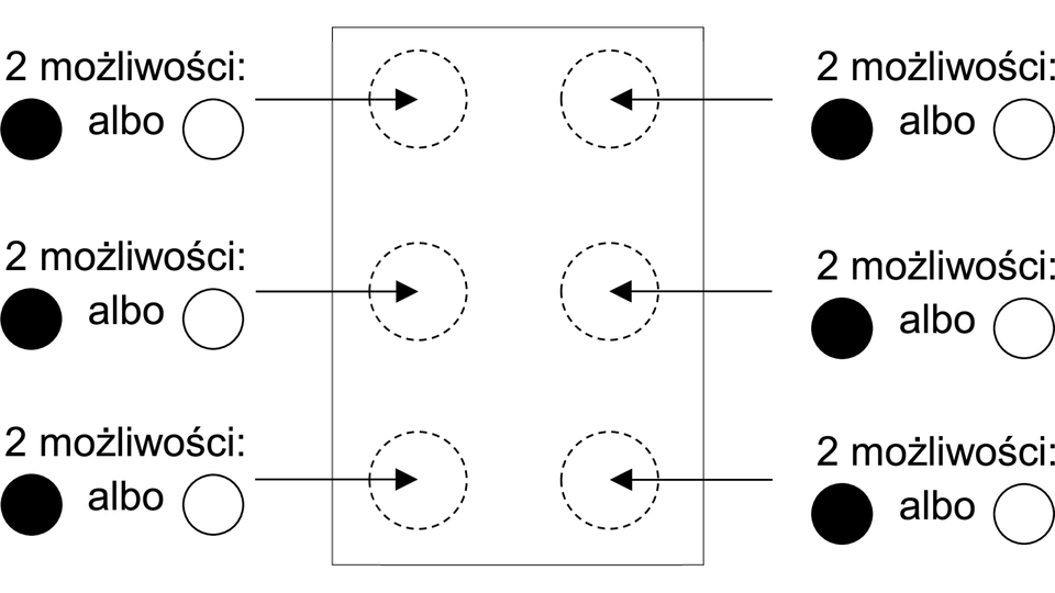 Obraz przedstawia schemat punktu Braille'a i ilustruje zasadę jego działania.
Centralna część obrazu to prostokąt, reprezentujący pojedynczą komórkę Braille'a, która składa się z sześciu pustych okręgów (miejsc na punkty Braille'a), ułożonych w dwie pionowe kolumny po trzy okręgi.

Po każdej stronie tego prostokąta, na wysokości każdego rzędu okręgów, znajdują się strzałki wskazujące na puste okręgi. Obok każdej strzałki widnieje tekst : "2 możliwości" oraz rysunek czarnej kropki i pustej kropki. Oznacza to, że każdy z sześciu punktów w komórce Braille'a może być albo wypukły (symbolizowany przez czarną kropkę), albo pusty/niewypukły (symbolizowany przez pustą kropkę).