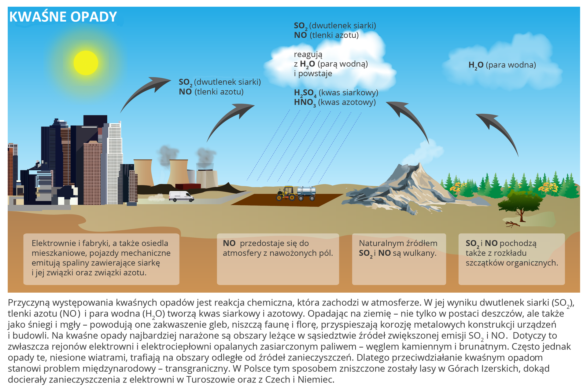 Na ilustracji opis efektów kwaśnych opadów. Po lewej stronie narysowano miasto z wysokimi wieżowcami i kominami fabrycznymi emitującymi SO2(dwutlenek siarki) i NO2(tlenki azotu). Między budynkami biały samochód wydobywający spaliny. Nad miastem świeci słońce. Pod rysunkiem w ramce opis: Elektrownie i fabryki, a także osiedla mieszkaniowe, pojazdy mechaniczne emitują spaliny zawierające siarkę i jej związki oraz związki azotu. Emisje substancji oznaczono za pomocą strzałek biegnących od źródeł emisji w stronę chmur narysowanych na środku nieba na ilustracji. Po prawej stronie ilustracji tereny zielone i drzewo emitujące do atmosfery H2O (parę wodną). Pod rysunkiem napis: SO2 i NO2 pochodzą także z rozkładu szczątków organicznych. Obok, bliżej centrum teren górzysty i wulkan z podpisem: Naturalnym źródłem SO2 i NO2 są wulkany. W centralnej części ilustracji obszary rolnicze z ciągnikiem rozwożącym nawozy. Pod spodem napis: NO2 przedostaje się do atmosfery z nawożonych pól. Na chmurze znajdującej się nad polem i lekko poniżej niej napis informujący, że w połączeniu z parą wodną z atmosfery wszystkie wymienione gazy tworzą kwas siarkowy i kwas azotowy. Od kwasów do ziemi biegną przerywane kreski przypominające deszcz. Podpis pod ilustracją. Przyczyną występowania kwaśnych opadów jest reakcja chemiczna, która zachodzi w atmosferze. W jej wyniku dwutlenek siarki (SO2), tlenki azotu (NOx) i para wodna (H2O) tworzą kwas siarkowy i azotowy. Opadając na ziemię – nie tylko w postaci deszczów, ale także jako śniegi i mgły – powodują one zakwaszenie gleb, niszczą faunę i florę, przyspieszają korozję metalowych konstrukcji urządzeń i budowli. Na kwaśne opady najbardziej narażone są obszary leżące w sąsiedztwie źródeł zwiększonej emisji SO2 i NOx. Dotyczy to zwłaszcza rejonów elektrowni i elektrociepłowni opalanych zasiarczonym paliwem – węglem kamiennym i brunatnym. Często jednak opady te, niesione wiatrami, trafiają na obszary odległe od źródeł zanieczyszczeń. Dlatego przeciwdziałanie kwaśnym deszczom stanowi problem międzynarodowy – transgraniczny. W Polsce tym sposobem zniszczone zostały lasy w Górach Izerskich, dokąd docierały zanieczyszczenia z elektrowni w Turoszowie oraz z Czech i Niemiec.