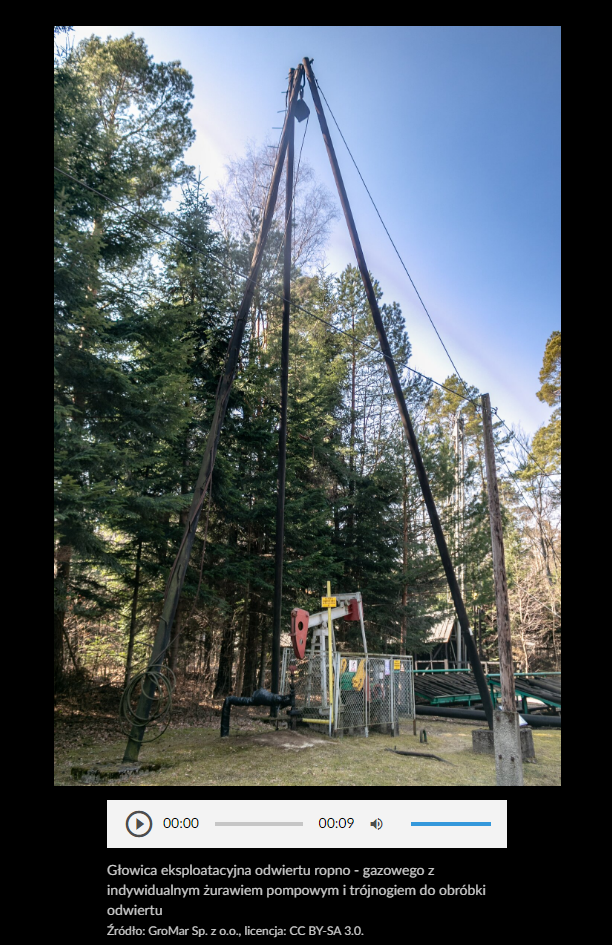 Przykładowa grafika galerii zdjęć - z rozwiniętym opisem