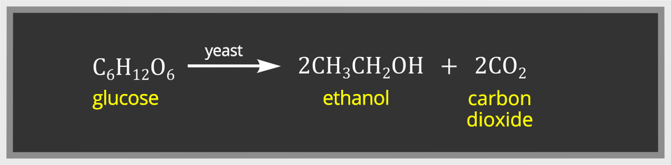 Fermentacja alkoholowa przebiega zgodnie z równaniem: ce sześć ha dwanaście o sześć (glukoza) strzałka w prawo dwa ce ha trzy ce ha dwa o ha (etanol) dodać dwa ce o dwa (dwutlenek węgla).