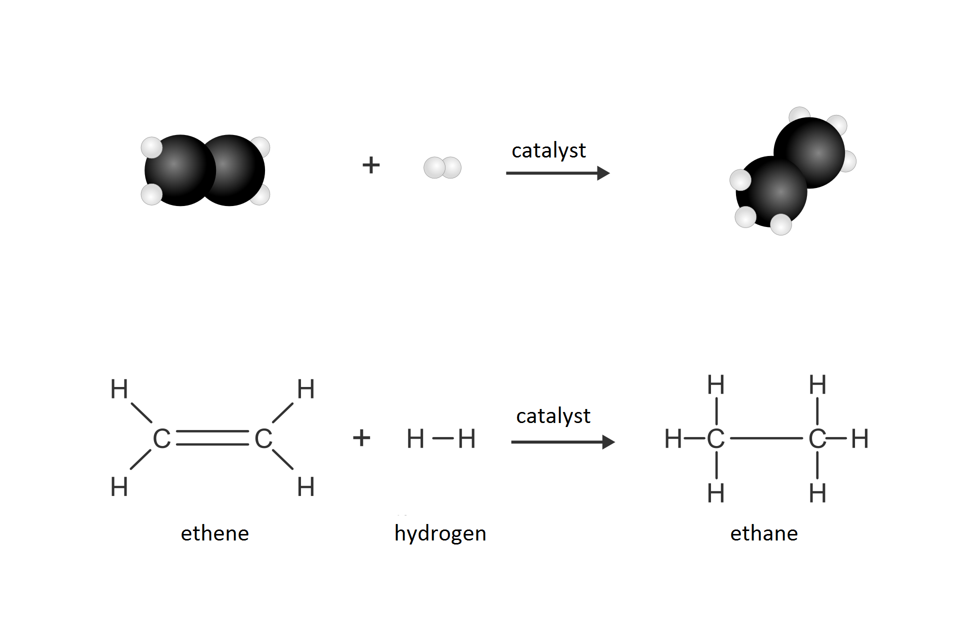 Schemat przedstawia zapis reakcji etenu z wodorem za pomocą modeli oraz wzorów strukturalnych. Równanie reakcji: eten, ethene dodać wodór, hydrogen strzałka w prawo, nad strzałką napis katalizator, catalyst, dalej etan, ethane. Cząsteczka etenu ce dwa ha cztery reaguje z cząsteczką wodoru ha dwa. W wyniku reakcji powstaje etan.