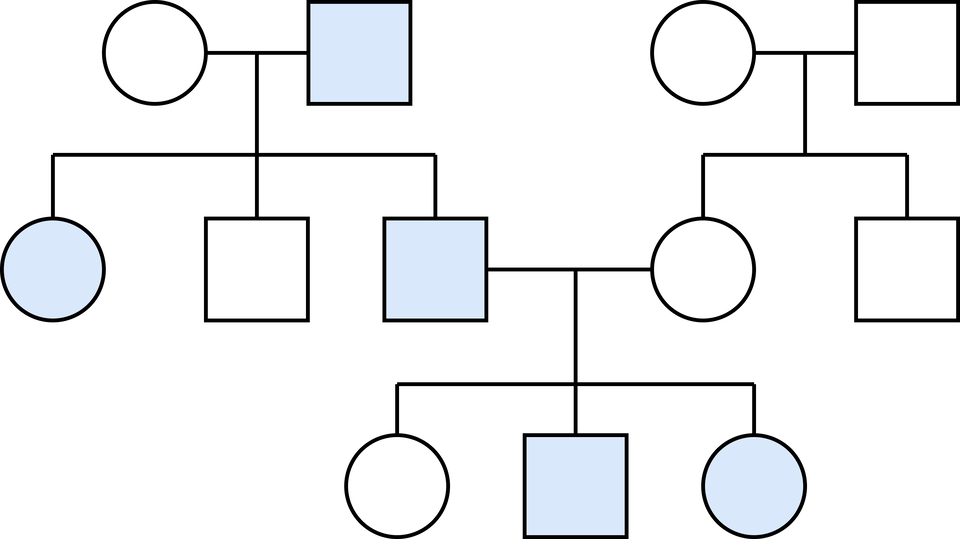Ilustracja przedstawia rodowód rodziny, w której występuje cecha dziedziczona autosomalnie dominująco. Pierwszą parę tworzy zdrowa kobieta oraz chory mężczyzna. Mają oni trójkę dzieci: chorą kobietę, zdrowego mężczyznę oraz chorego mężczyznę. Drugą parę tworzy zdrowa para, która ma zdrową córkę oraz zdrowego syna. Chory syn pierwszej pary tworzy parę ze zdrową córką drugiej pary. Mają oni trójkę dzieci: zdrową córkę, chorego syna i drugą chorą córkę.