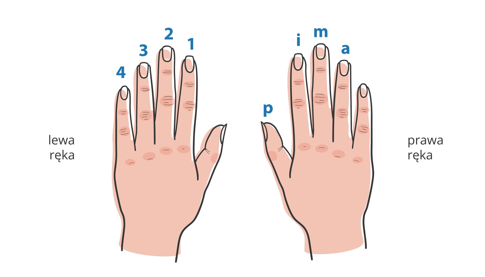 Ilustracja przedstawia dłonie oraz palce z naniesionymi literami i cyframi. W lewej ręce palec wskazujący to cyfra 1, palec środkowy to 2, palec serdeczny to 3 i palec mały to 4. W prawej ręce kciuk to litera p, palec wskazujący to i, palec środkowy to m, palec serdeczny to a.