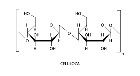 Grafika przedstawia budowę celulozy. Szczegółowy opis znajduje się w poniższej treści.