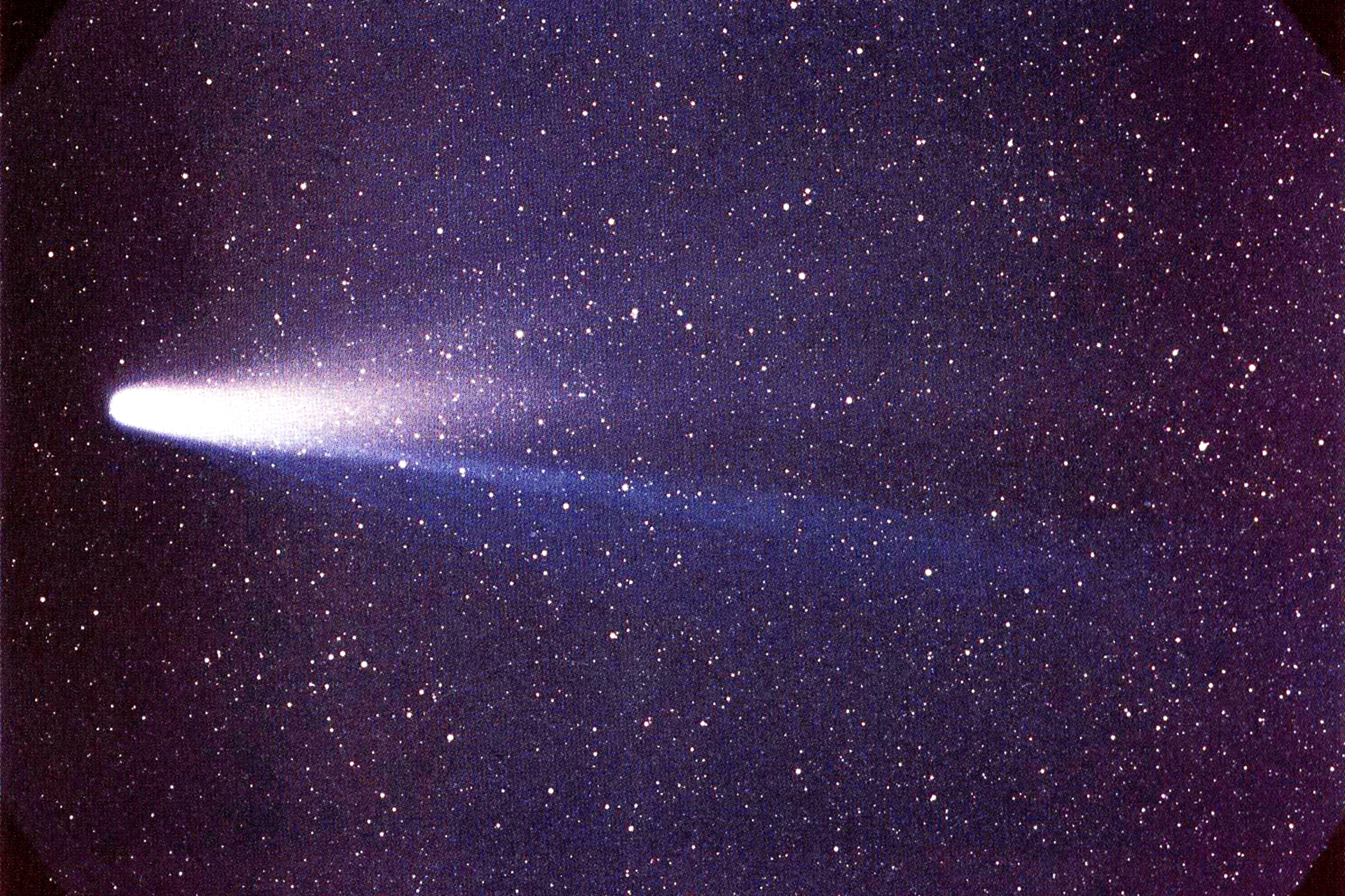 Fotografia prezentuje kometę Halleya. Na granatowym niebie widoczne gwiazdy w postaci białych licznych punkty różnej wielkości. Po lewej stronie widoczna biała rozszerzająca się w kierunku końca smuga.