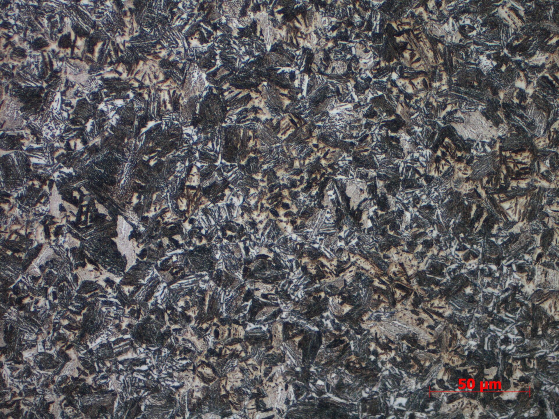 Mikrostruktura bainityczna
Powiększenie 50x