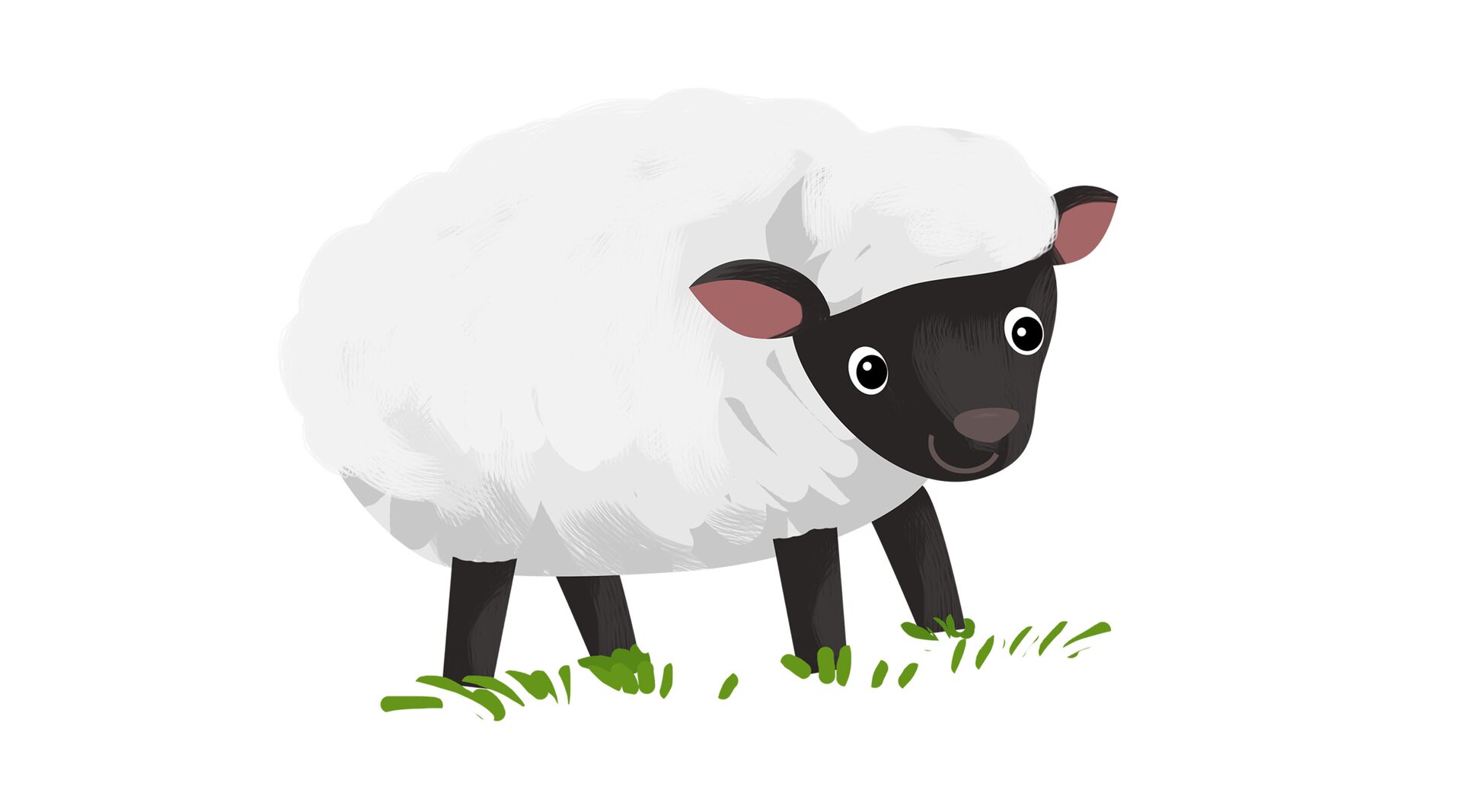 Ilustracja przedstawia owcę.