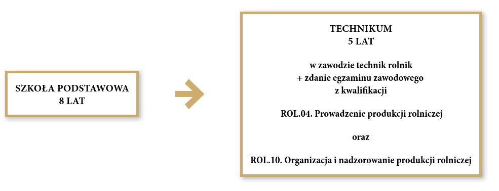 Grafika przedstawia ścieżki rozwoju do uzyskania zawodu technika rolnika. Pierwszym krokiem jest ukończenie ośmioletniej szkoły podstawowej. Drugim krokiem jest ukończenie pięcioletniego technikum w zawodzie technik rolnik oraz zdanie egzaminu zawodowego z kwalifikacji er o el kropka zero cztery. Prowadzenie produkcji rolniczej oraz er o el kropka dziesięć kropka organizacja i nadzorowanie produkcji rolniczej. 