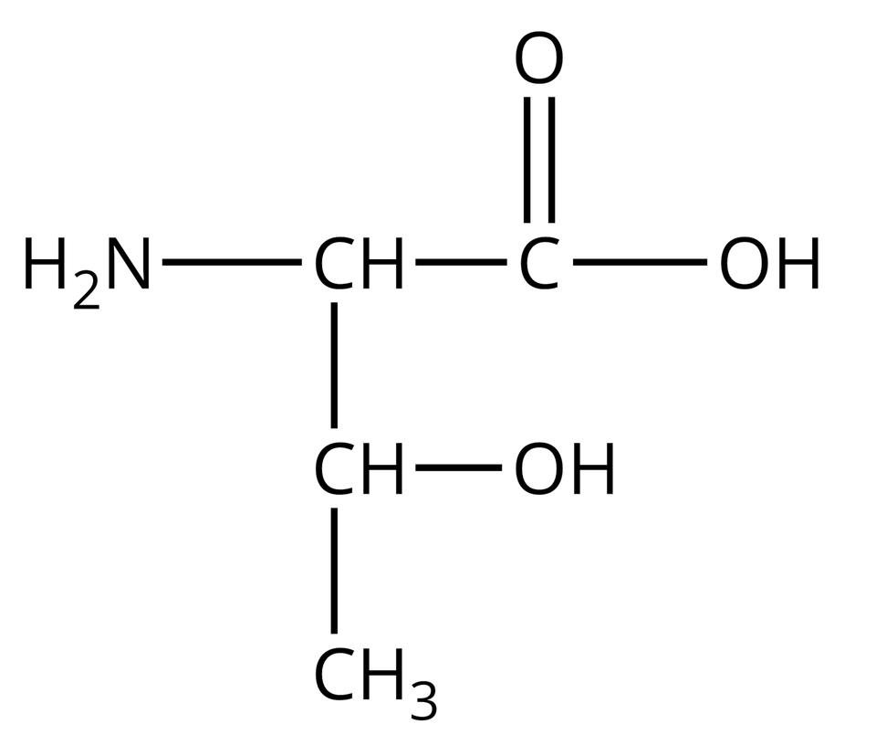 Wzór półstrukturalny treoniny. Do grupy H indeks dolny, dwa, koniec indeksu dolnego, N z prawej strony przyłączona jest grupa C H. Od niej odchodzą dwa wiązania pojedyncze. Pierwsze skierowane jest w prawo do atomu węgla. Od niego odchodzą dwa wiązania: podwójne w górę, prowadzące do atomu tlenu i pojedyncze w prawo do grupy O H. Drugie wiązanie odchodzące od grupy C H skierowane jest w dół i łączy się z grupą C H, od której odchodzą dwa pojedyncze wiązanie: jedno w prawo do grupy O H i jedno w dół do grupy C H indeks dolny, trzy, koniec indeksu dolnego.