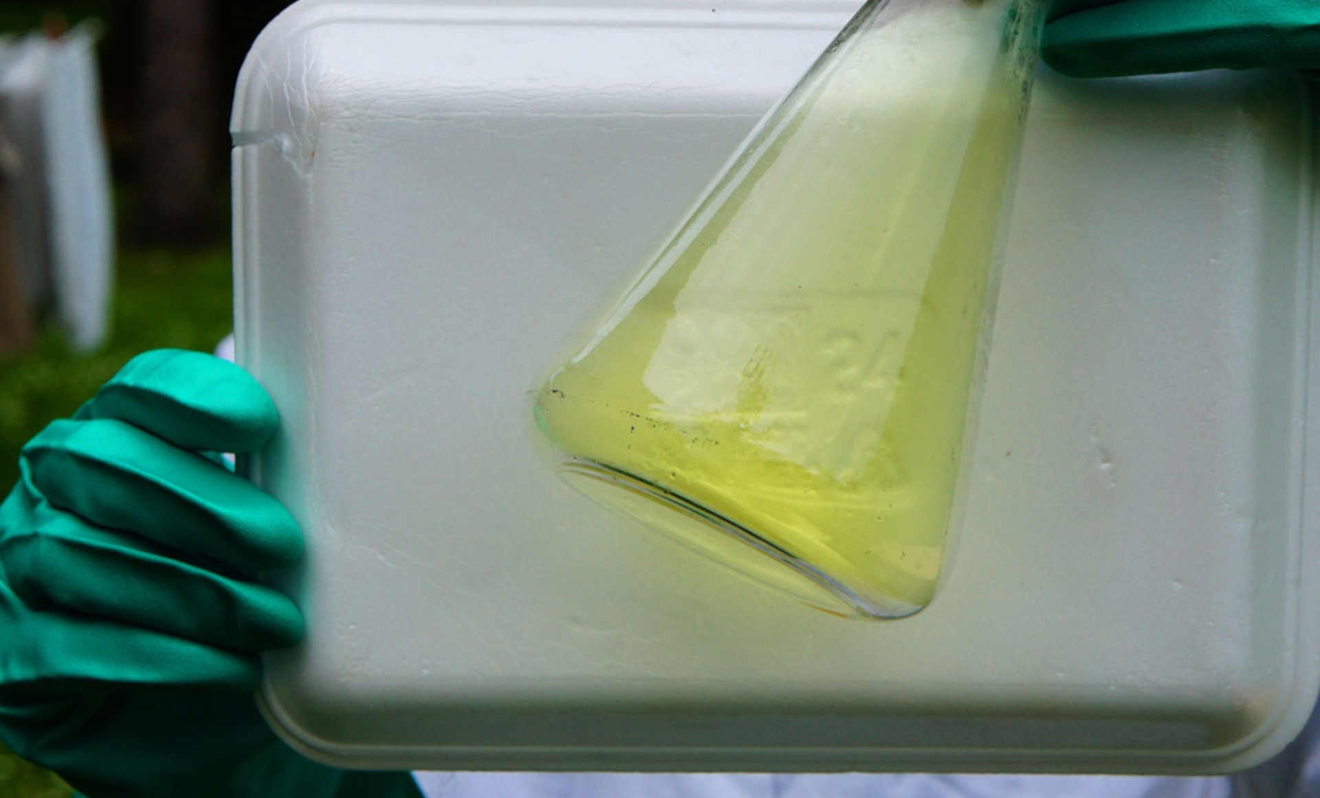 Na ilustracji ukazano kolbę wypełnioną żółtym gazem.