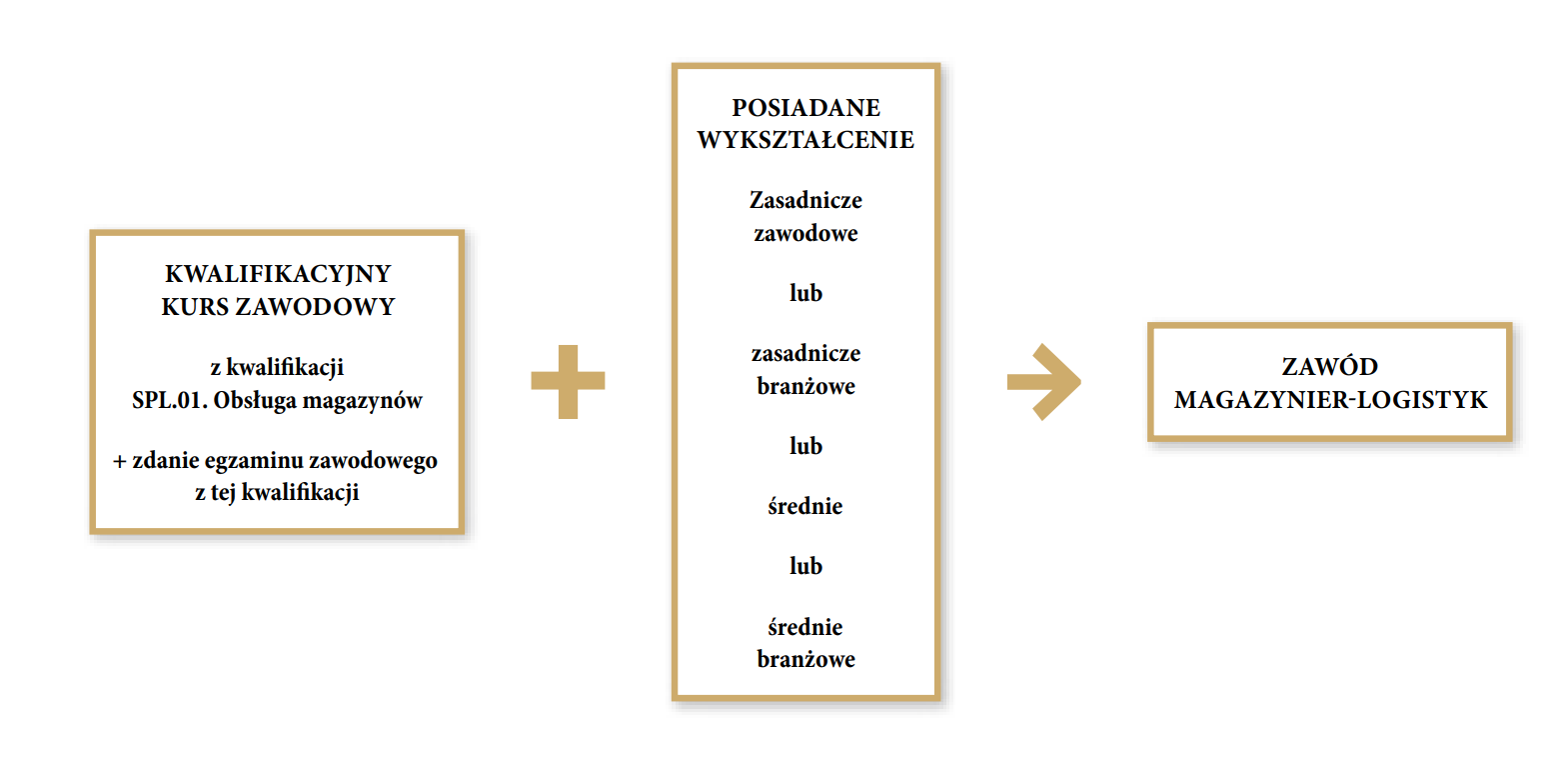 Grafika przedstawia ścieżkę możliwości kształcenia dla młodzieży szkół ponadpodstawowych i dla dorosłych w zawodzie magazynier‑logistyk. Pierwszym krokiem do zawodu magazyniera‑logistyka jest ukończenie kwalifikacyjnego kursu zawodowego z kwalifikacji S P L kropka zero jeden kropka Obsługa magazynów i zdanie egzaminu zawodowego z tej kwalifikacji. Drugim krokiem jest posiadanie wykształcenia zasadniczego zawodowego lub zasadniczego branżowego lub średniego lub średniego branżowego.
