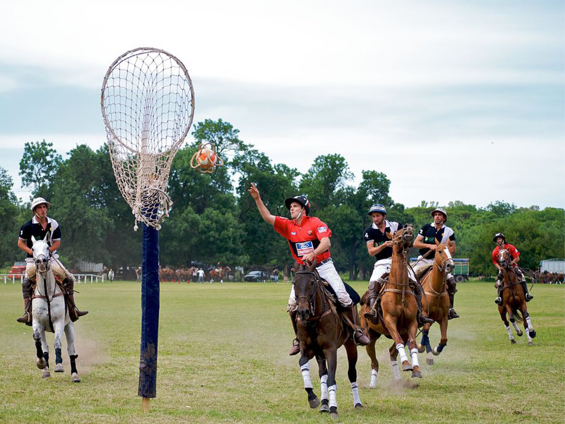 Zdjęcie przedstawia graczy na boisku do polo 