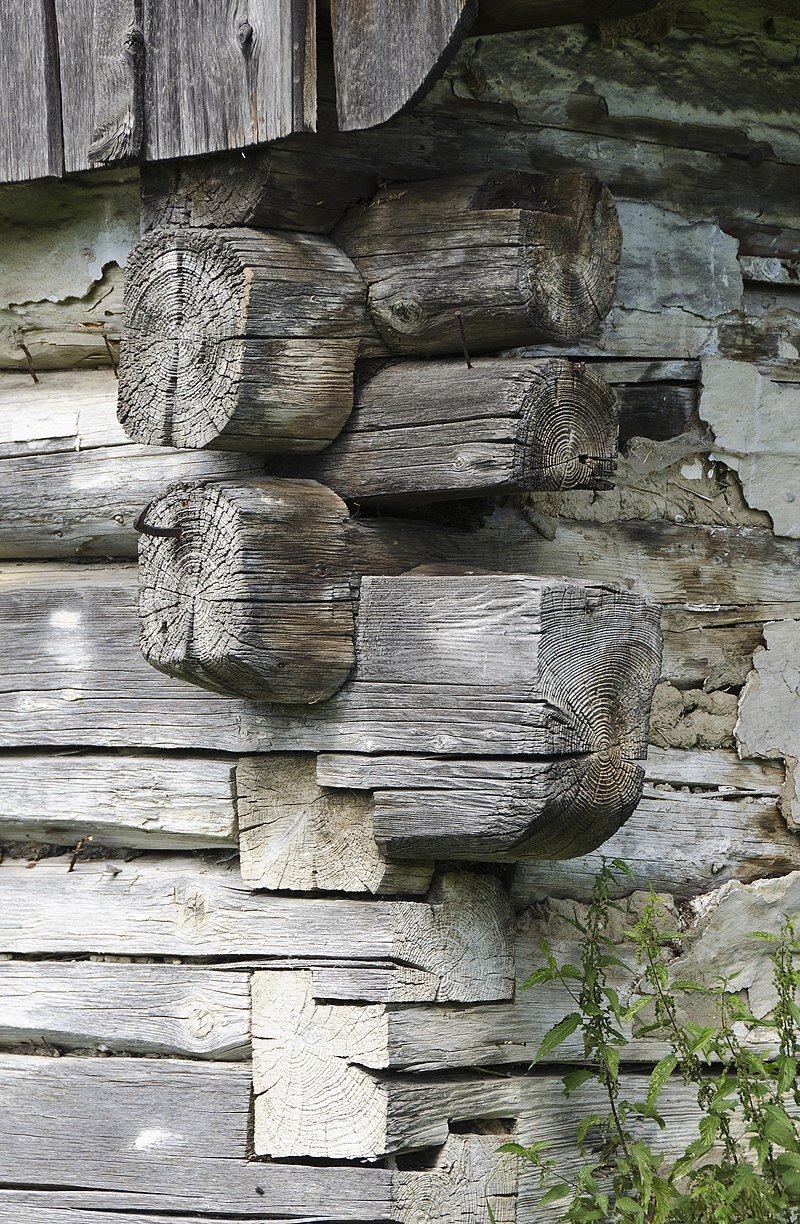 Zdjęcie ukazuje złącze węgłowe z ostatkami w zabytkowym drewnianym obiekcie. Belki ułożone są na rogu budynku jedna na drugiej w taki sposób, iż ich zakończenia wystają poza miejsce łączenia.
