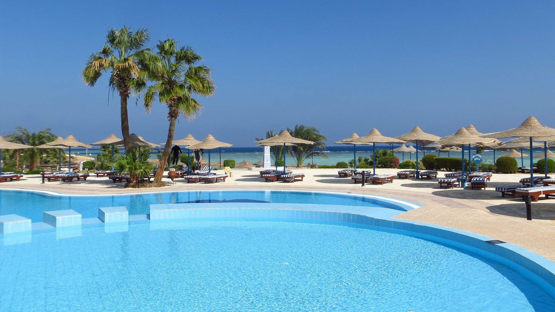 Zdjęcie przestawia basen nad morzem. Wokół basenu ustawione są leżaki i parasole. Widoczne są również palmy.