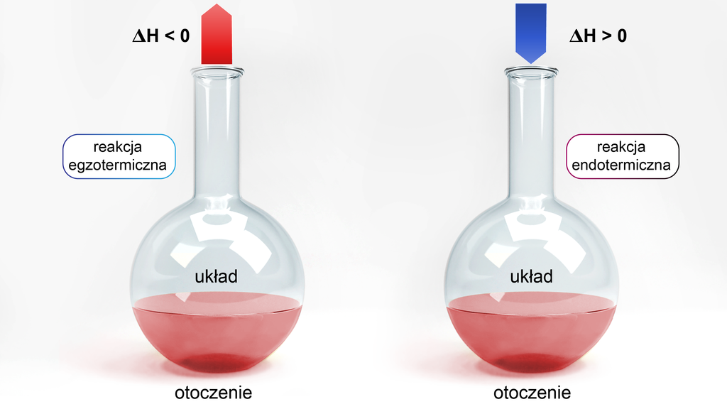Ilustracja przedstawiająca schematycznie różnicę pomiędzy reakcją egzotermiczną i endotermiczną. Na ilustracji znajdują się dwie kolby z różowymi roztworami. Z wnętrza pierwszej kolby poprowadzona jest na zewnątrz strzałka koloru czerwonego, obok której ΔH<0 dla reakcji egzotermicznej. Dla drugiej kolby reakcja endotermiczna, strzałka niebieskiego koloru skierowana jest do wnętrza kolby, obok strzałki ΔH>0.
