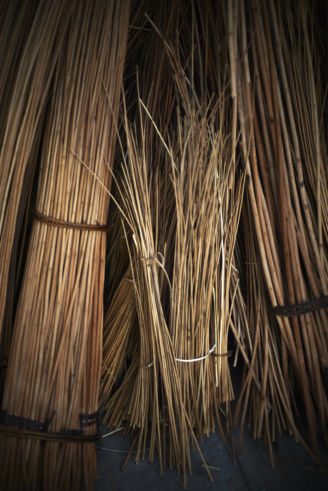 Zdjęcie przedstawia pręty wikliny związane w pęczki ustawione pionowo obok siebie.
Nagranie tożsame z treścią opisu.