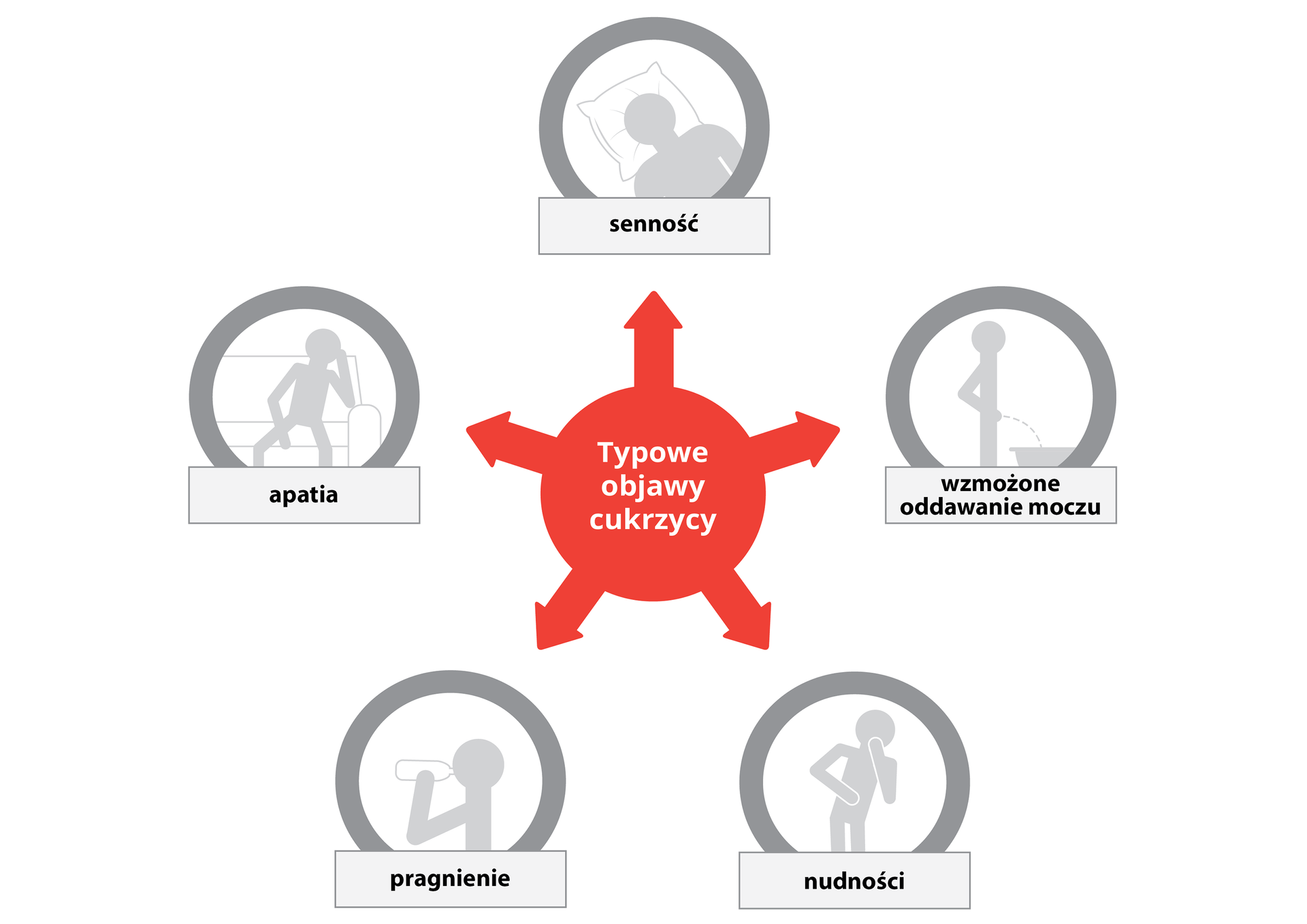 Schemat przedstawia typowe objawy cukrzycy: senność, apatię, nadmierne pragnienie, nadmierne wydalanie moczu i nudności.