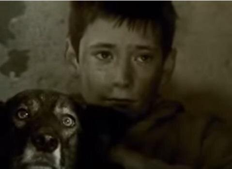 Zdjęcie przedstawia chłopca z przybrudzoną twarzą, przy którym znajduje się patrzący się przed siebie pies.